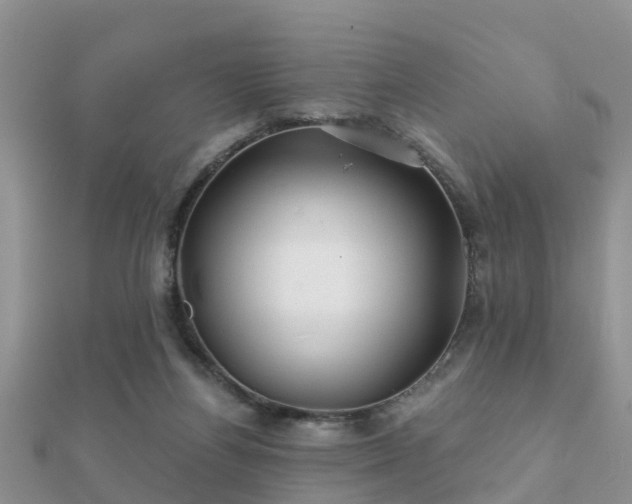 X0000112060164200908111419