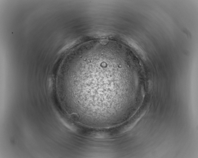 X0000112060165200908111419