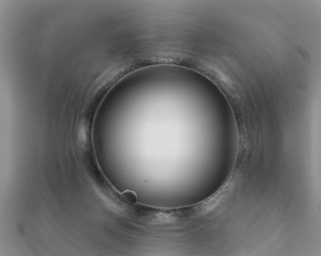 X0000112060166200908111419