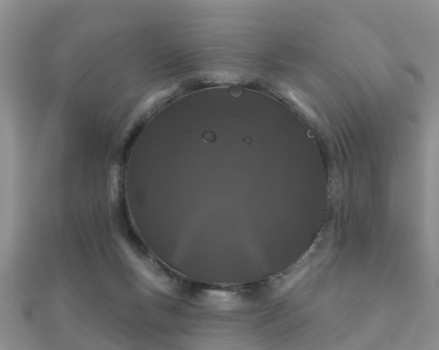 X0000112060167200908111419