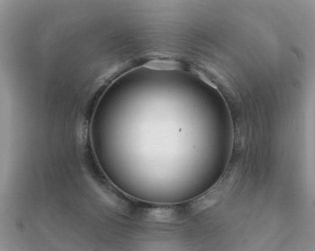 X0000112060168200908111419