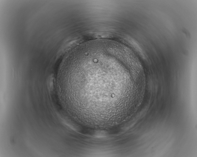 X0000112060169200908111419