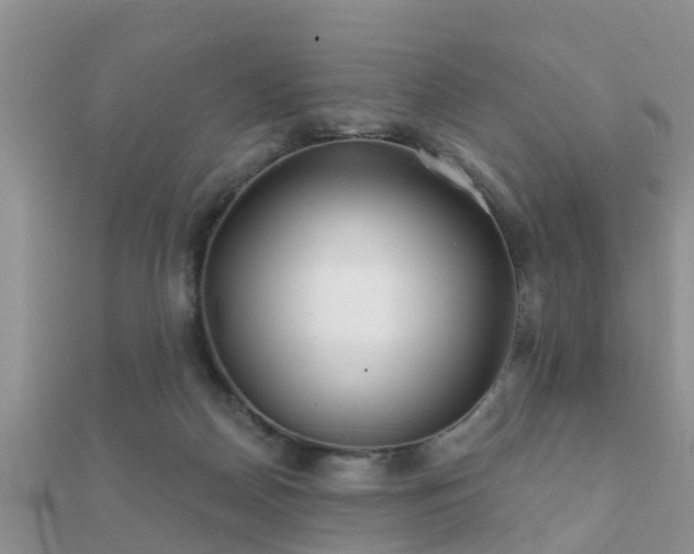 X0000112060170200908111419