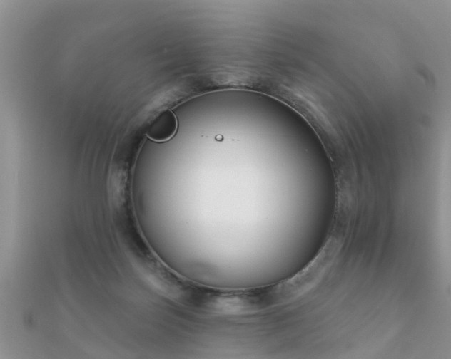 X0000112060171200908111419