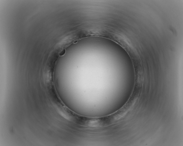 X0000112060173200908111419