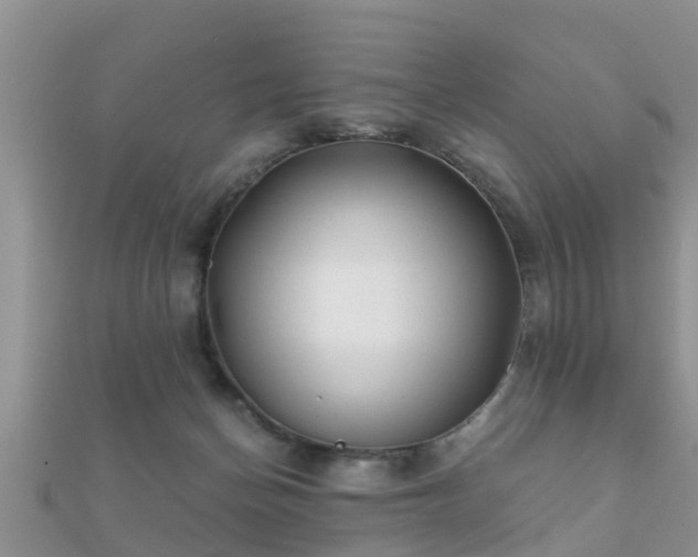 X0000112060174200908111419