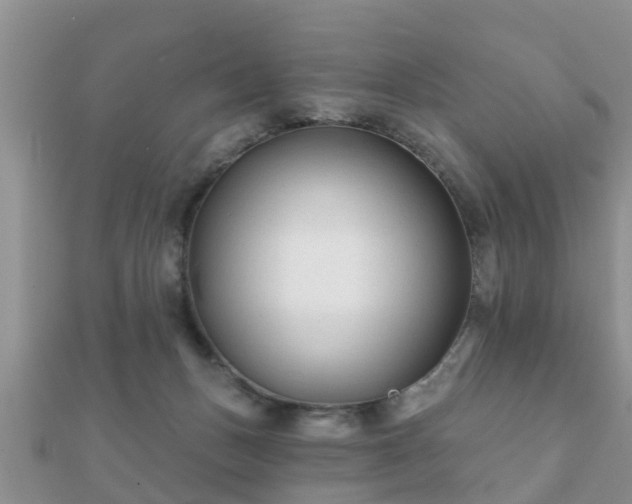 X0000112060175200908111419