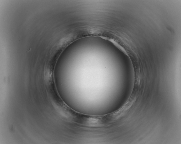 X0000112060176200908111419