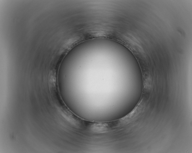 X0000112060179200908111419