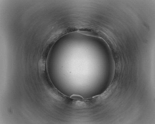 X0000112060180200908111419