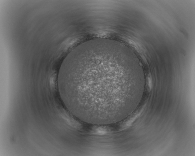 X0000112060181200908111419