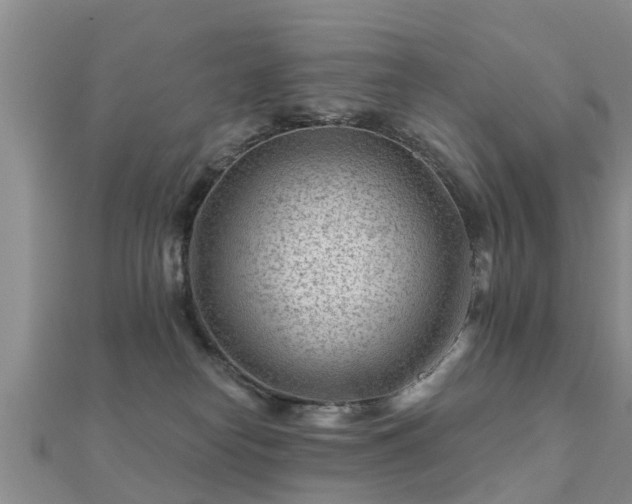 X0000112060182200908111419