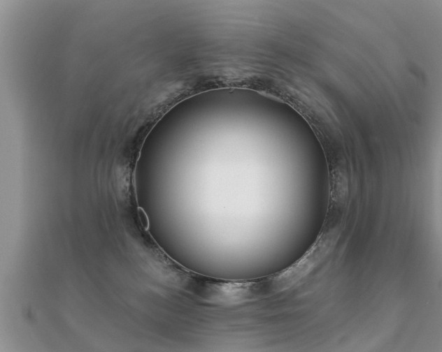 X0000112060184200908111419