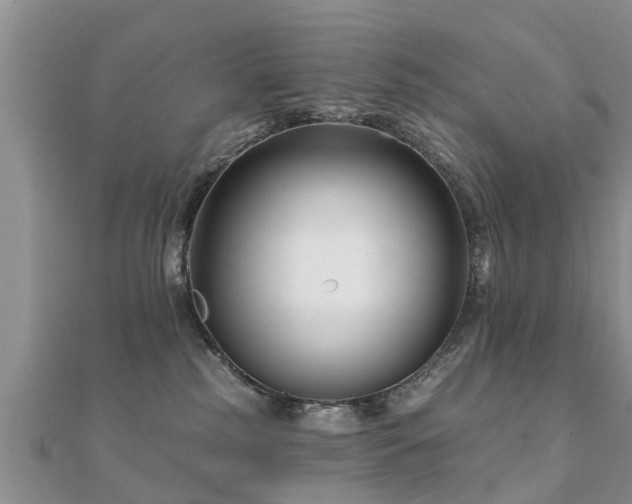 X0000112060185200908111419