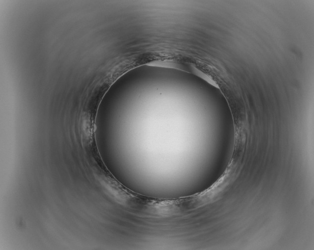 X0000112060186200908111419