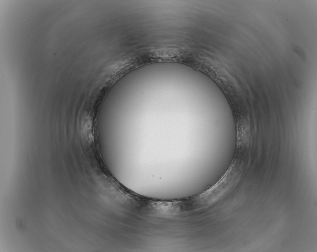 X0000112060187200908111419