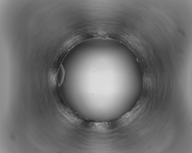 X0000112060188200908111419