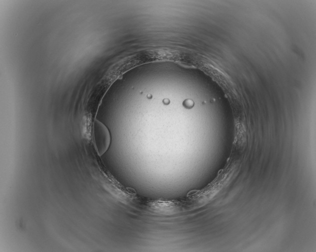 X0000112060189200908111419