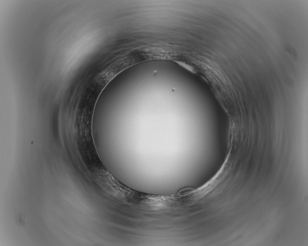 X0000112060190200908111419