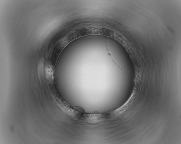 X0000112060191200908111419