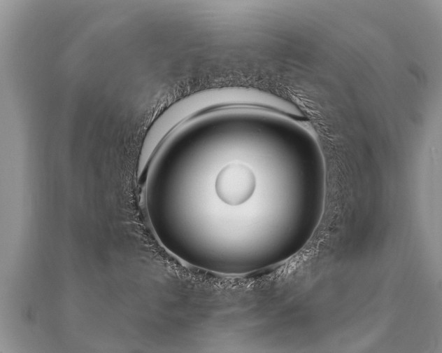 X0000112060192200908111419