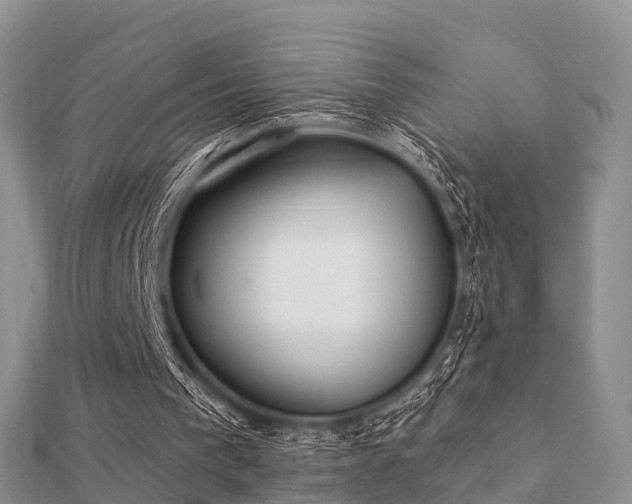 X0000112060193200908111419