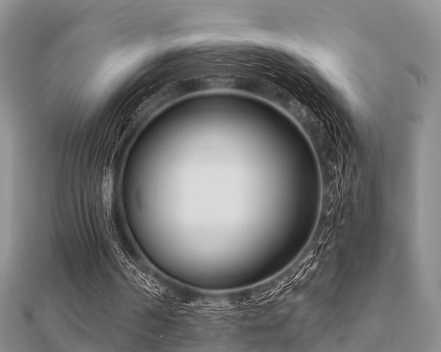 X0000112060194200908111419