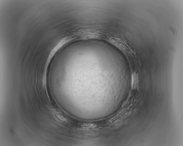 X0000112060195200908111419