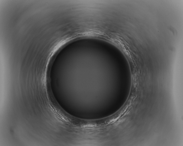 X0000112060196200908111419