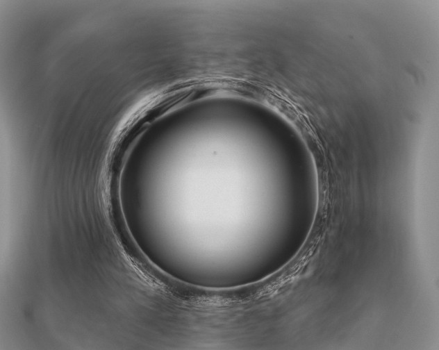 X0000112060197200908111419