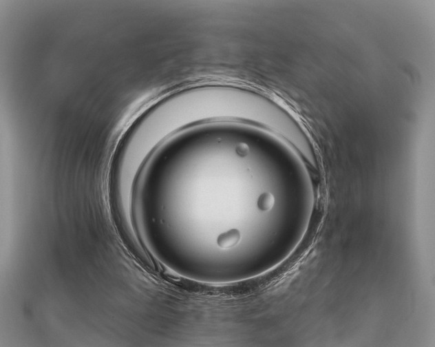 X0000112060199200908111419