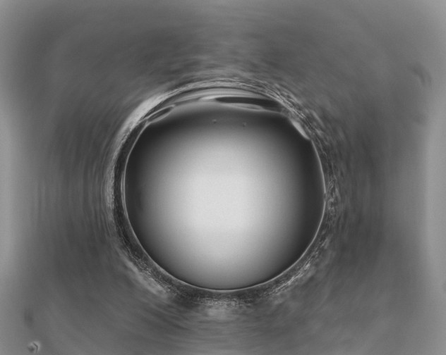 X0000112060200200908111419