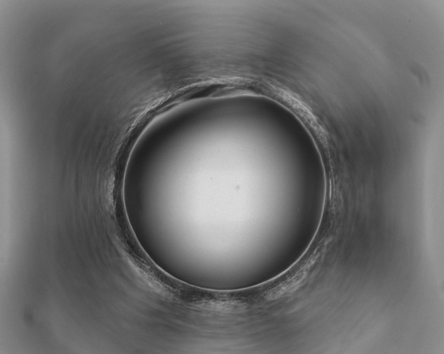 X0000112060201200908111419