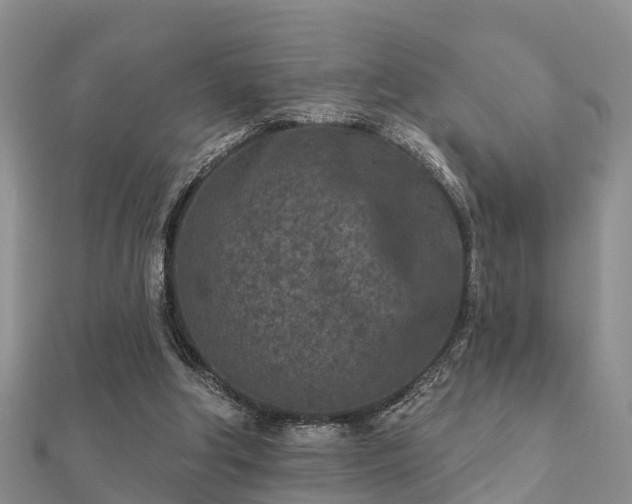 X0000112060202200908111419