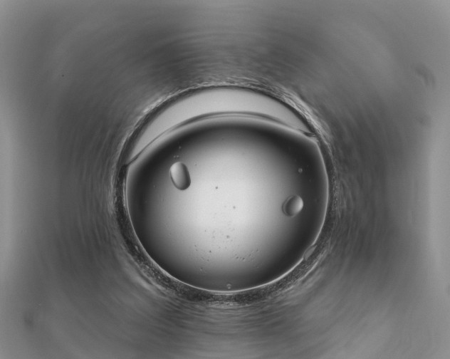 X0000112060203200908111419