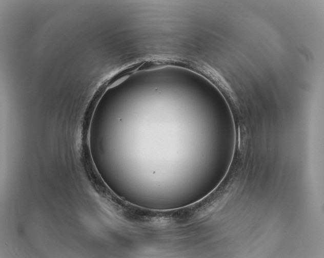 X0000112060204200908111419