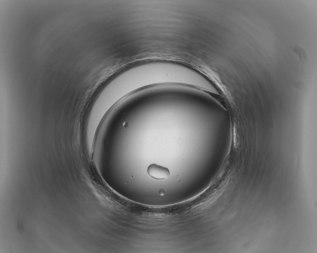 X0000112060205200908111419