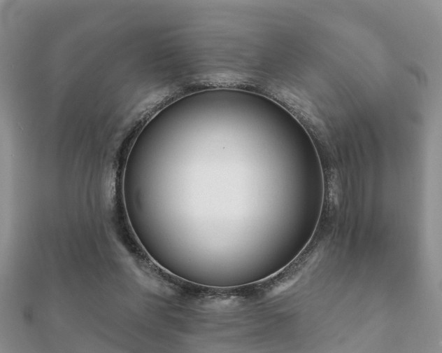 X0000112060206200908111419