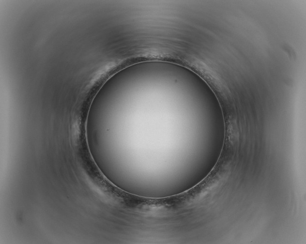 X0000112060208200908111419