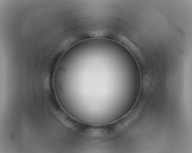 X0000112060209200908111419