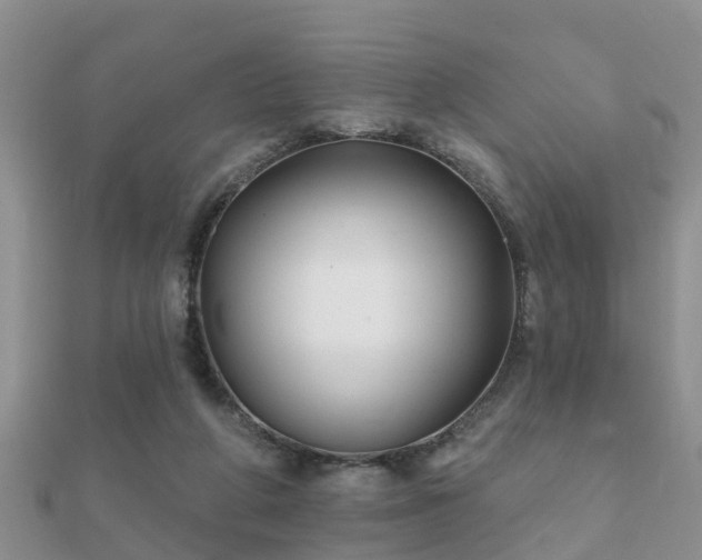 X0000112060210200908111419