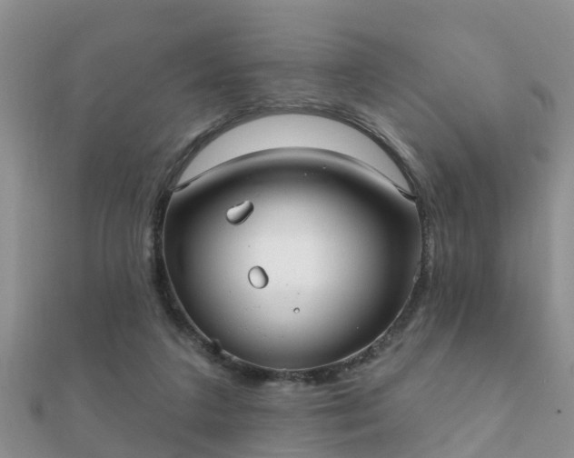 X0000112060211200908111419