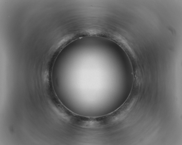 X0000112060212200908111419