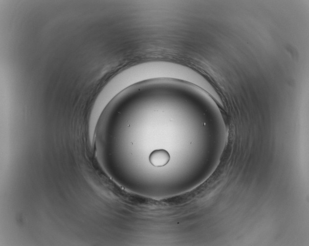 X0000112060215200908111418