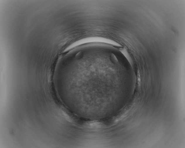 X0000112060219200908111418