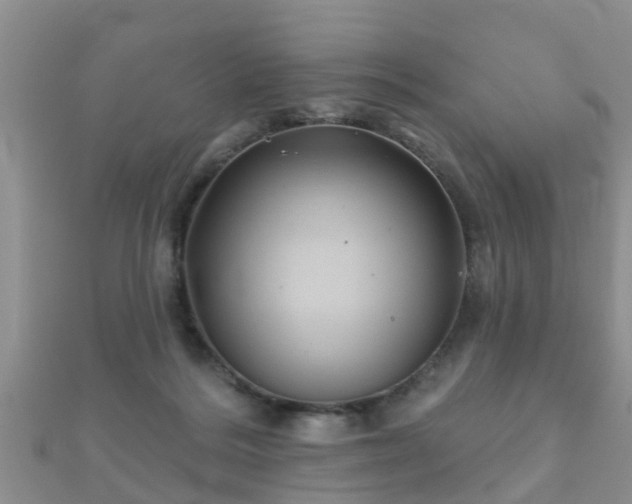 X0000112060220200908111418