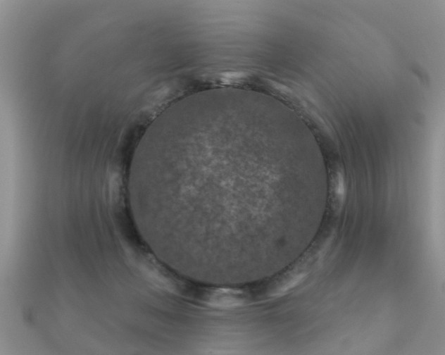 X0000112060222200908111418