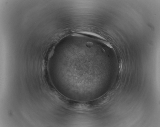 X0000112060223200908111418