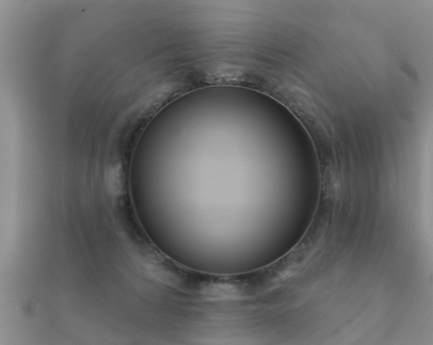 X0000112060224200908111418