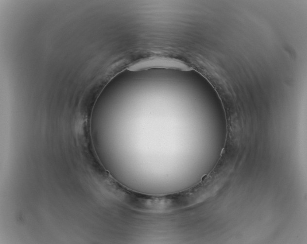 X0000112060225200908111418